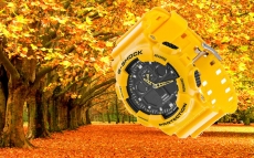 Краски золотой осени и яркие часы
