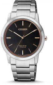 Citizen FE7024-84E